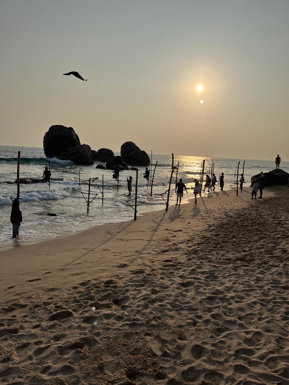 Sri Lanka Travel Moment 86